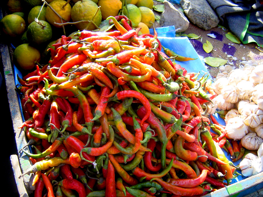 CHILLIES IN THE KABUL MARKET